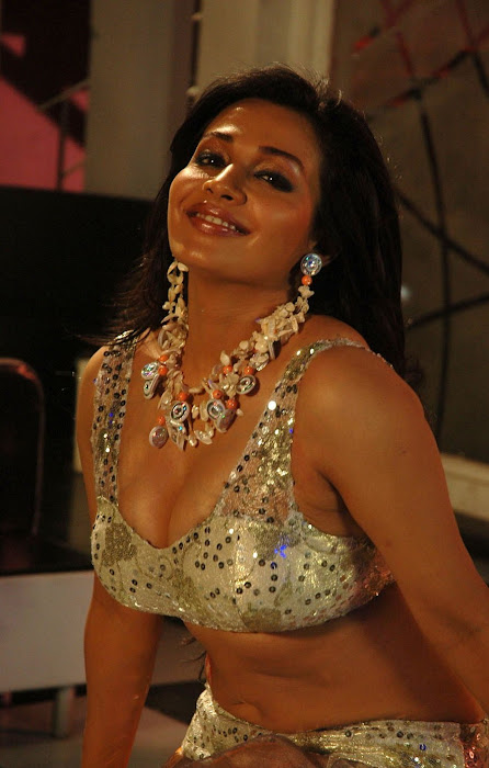 asha saini cleavege glamour  images